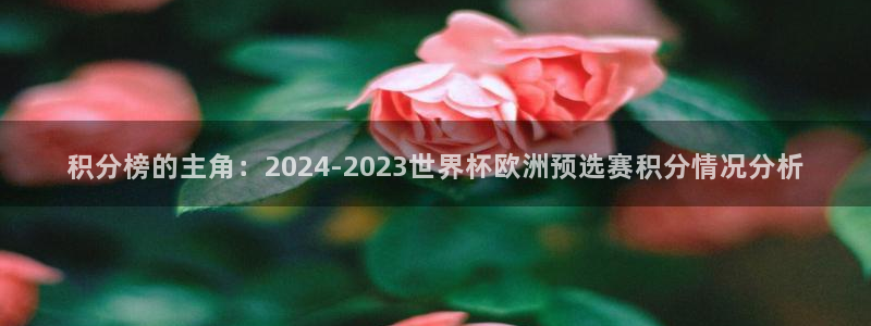 世界杯预选赛欧洲：积分榜的主角：2024-2023世界杯欧洲预选赛积分情况分析
