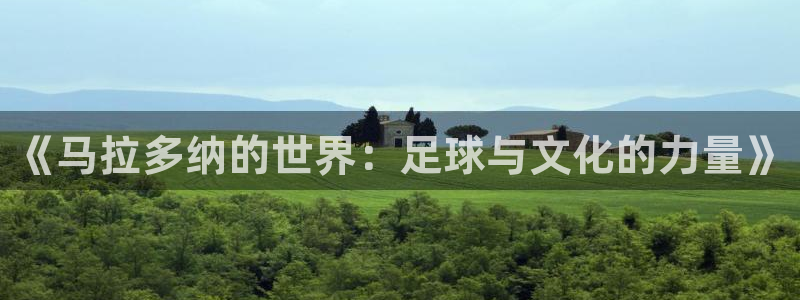 世界杯赛程表2026：《马拉多纳的世界：足球与文化的力量》