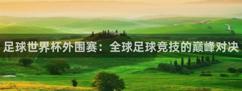 2006世界杯：足球世界杯外围赛：全球足球竞技的巅峰对决