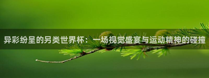 世界杯足球赛：异彩纷呈的另类世界杯：一场视觉盛宴与运动精神的碰撞