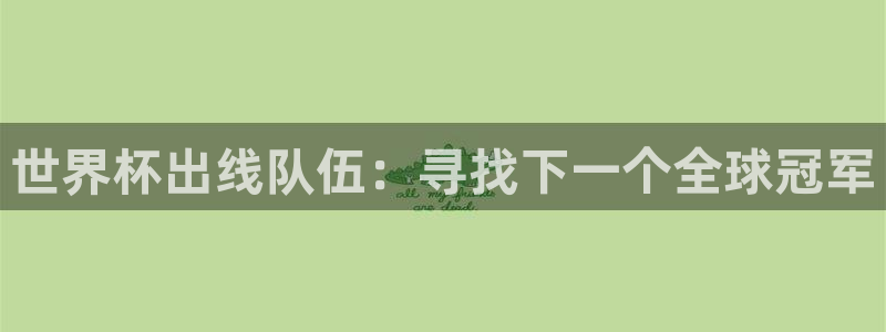 足球世界杯2026：世界杯出线队伍：寻找下一个全球冠军