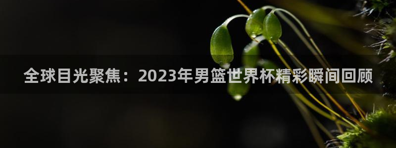 世界杯赛程表2026：全球目光聚焦：2023年男篮世界杯精彩瞬间回顾