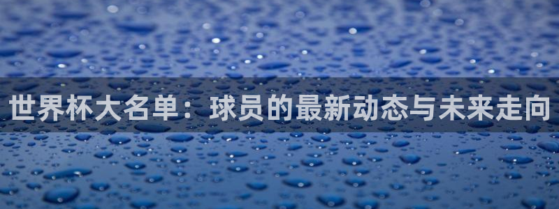世界杯赛程时间表：世界杯大名单：球员的最新动态与未来走向