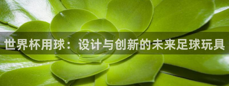 欧联杯直播：世界杯用球：设计与创新的未来足球玩具