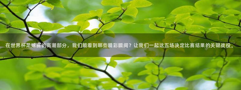 今年世界杯：在世界杯足球赛的高潮部分，我们能看到哪些精彩瞬间？让我们一起这五场决定比赛结果的关键战役。