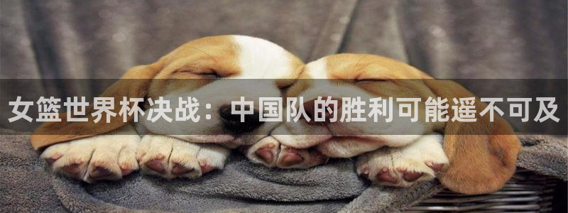 世界杯比赛直播：女篮世界杯决战：中国队的胜利可能遥不可及