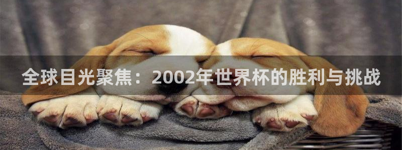 世界杯转播表：全球目光聚焦：2002年世界杯的胜利与挑战