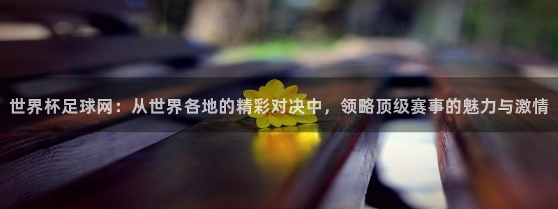 欧洲世界杯预选赛赛程：世界杯足球网：从世界各地的精彩对决中，领略顶级赛事的魅力与激情