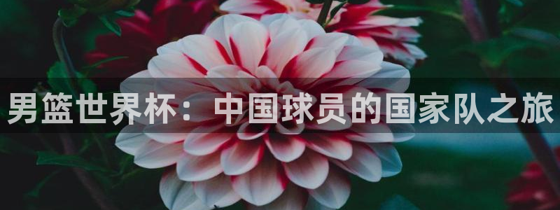 世界杯预选赛赛程表：男篮世界杯：中国球员的国家队之旅