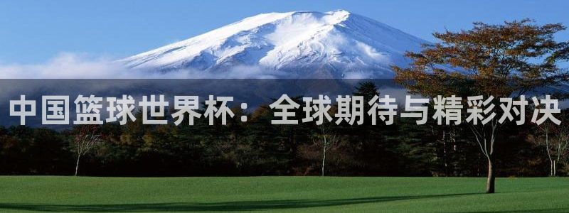 2026世界杯南美区积分榜：中国篮球世界杯：全球期待与精彩对决