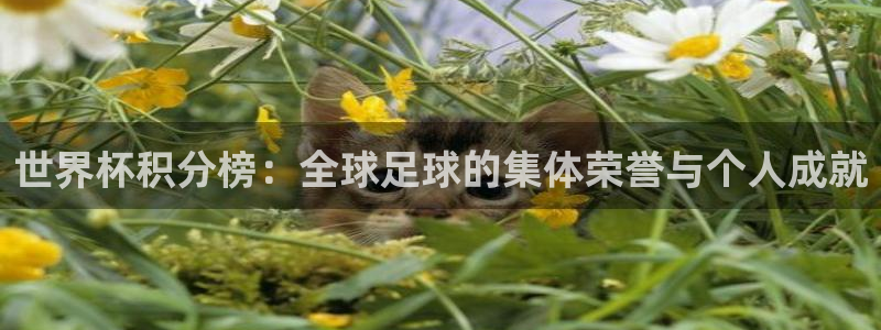 世界杯葡萄牙赛程：世界杯积分榜：全球足球的集体荣誉与个人成就